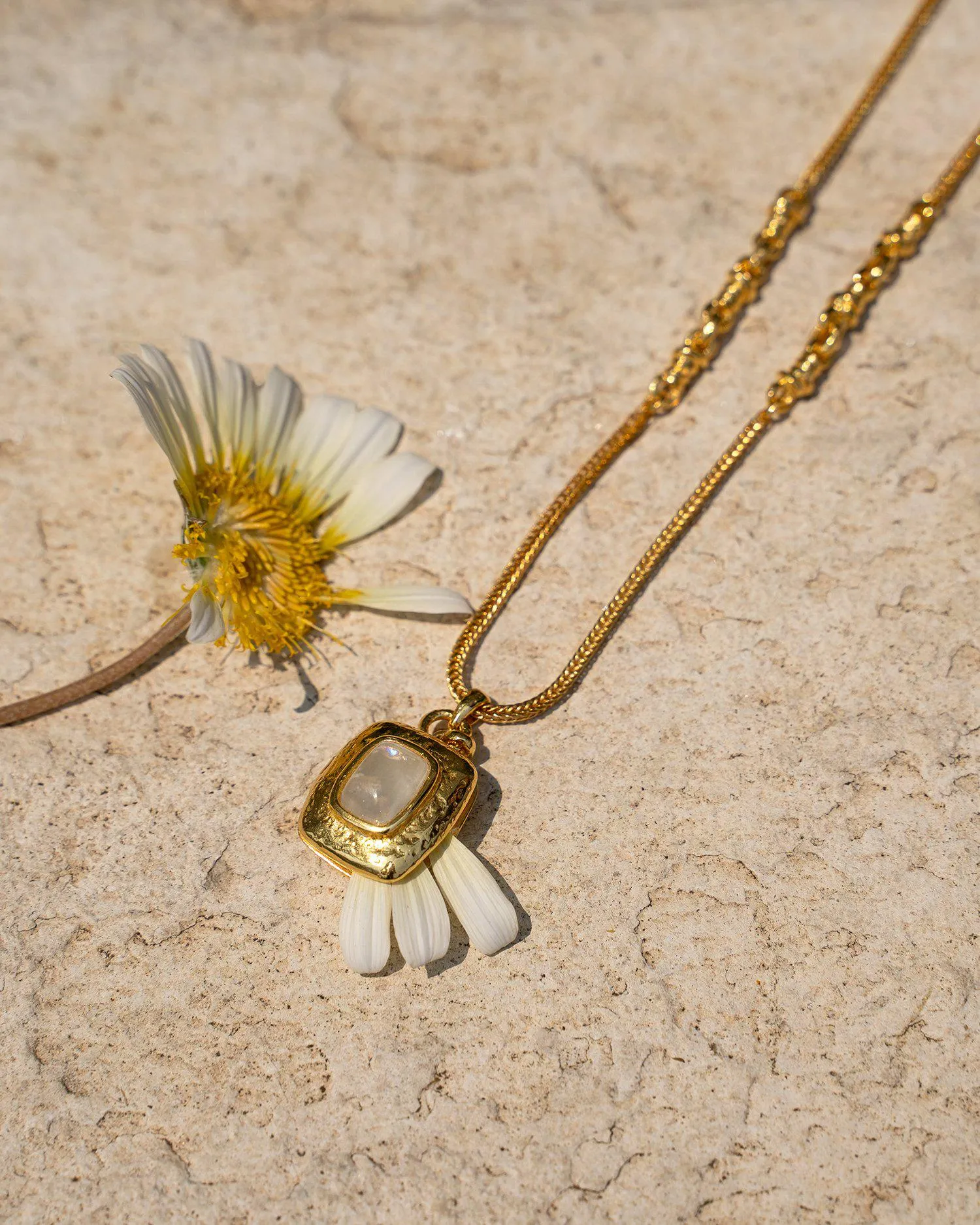 Alexis Locket