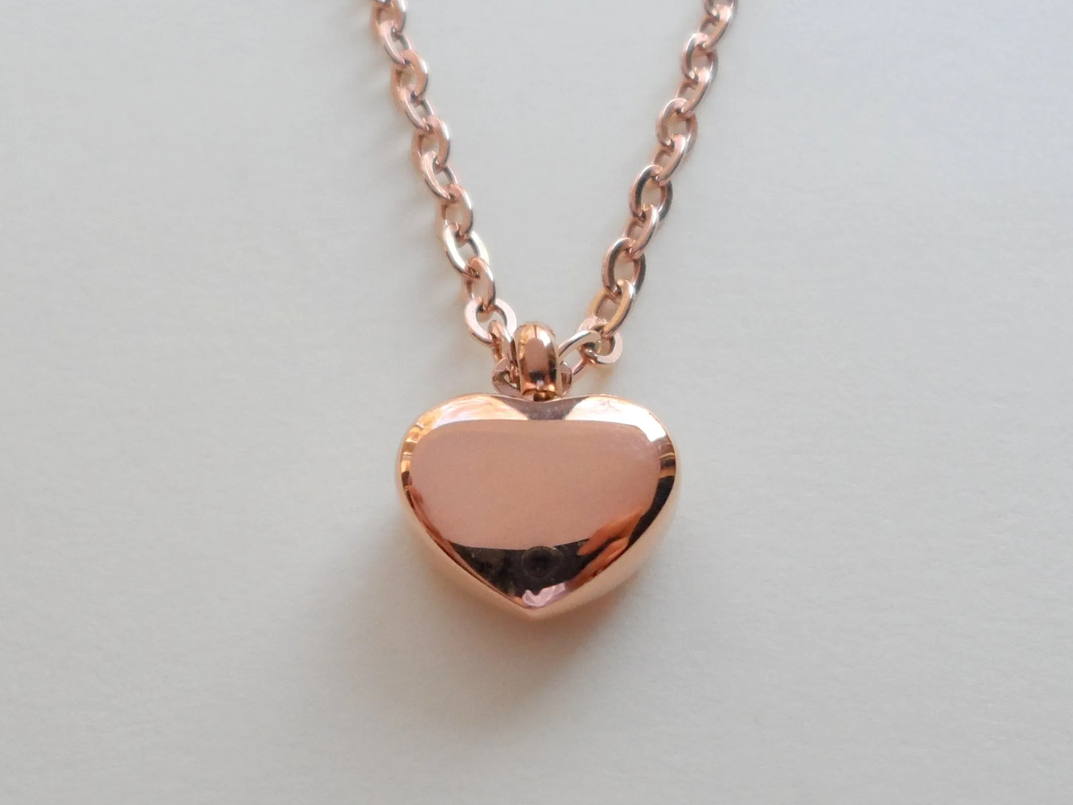 Memorial Cremation Ashes Locket Necklace - by Jewelry Everyday
