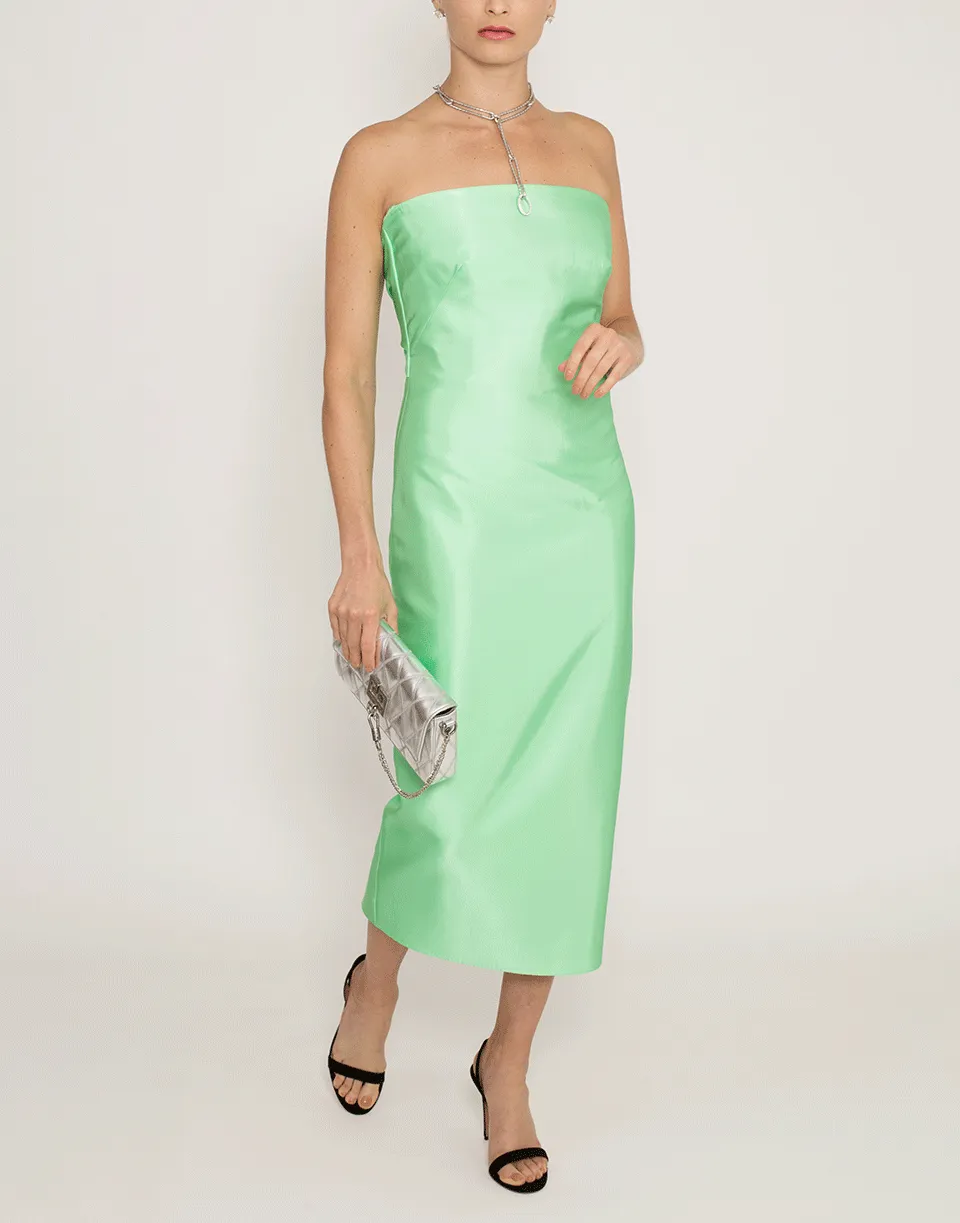 Strapless Liquid Satin Dress